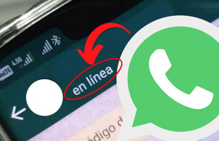 Whatsapp ¿cómo Ocultar Que Estás En Línea A Un Contacto Periódicos Del Perú 5810